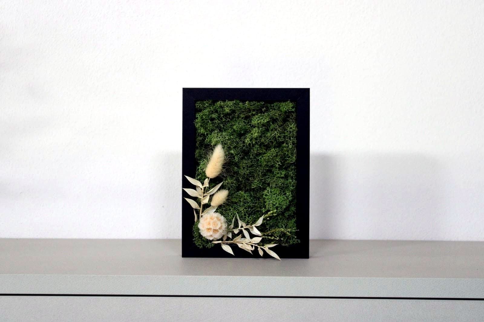 Quadro con lagurus
